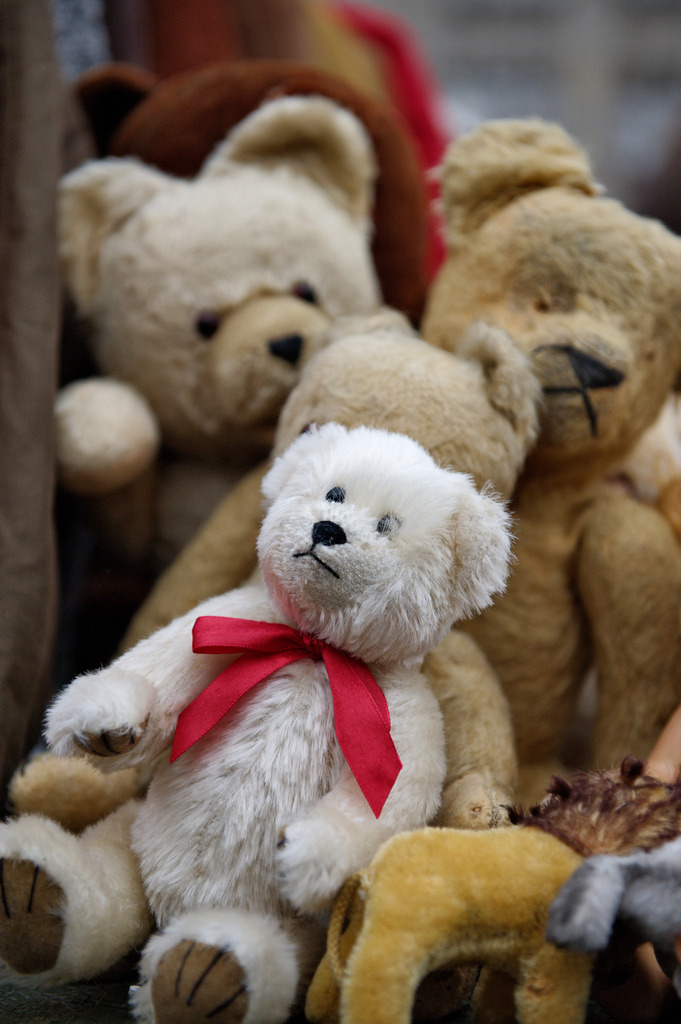 Teddybaeren | Wien, Austria - December 03, 2011: Teddybaeren. - Realisiert mit Pictrs.com