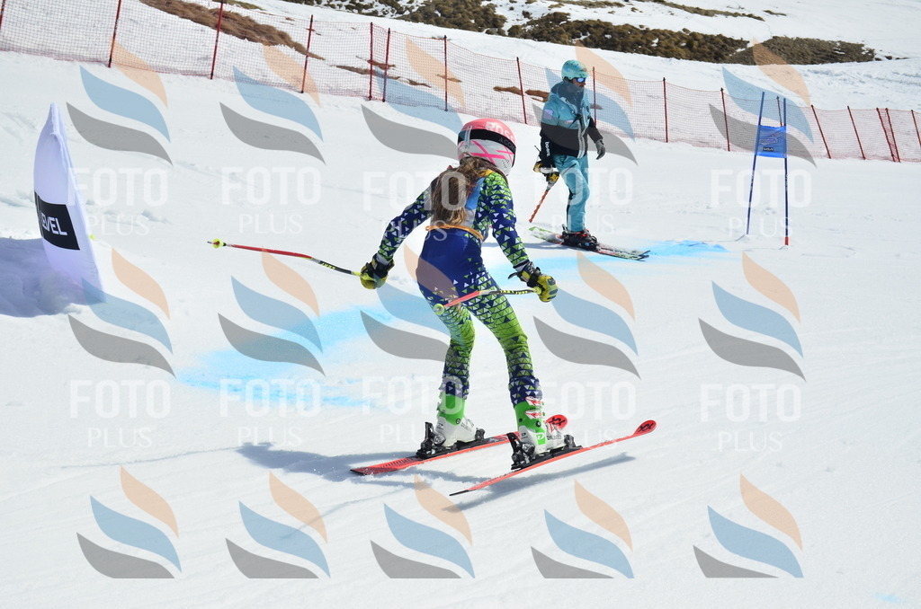 _ELE1252 | holidayphoto