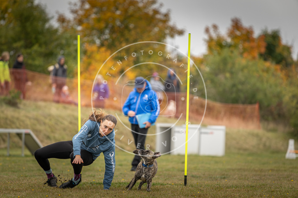 Pfotenfotografie_DV3A3485 | Hundefotografie, Tierfotograf, Pfotenfotografie, Fotoshooting Hund, Hunde Portrait, Hundesport, Hundeportraits, Heideshooting, Hunde, Sportfotograf, Hundefotograf, Turnierhundsport, THS,  - Realisiert mit Pictrs.com