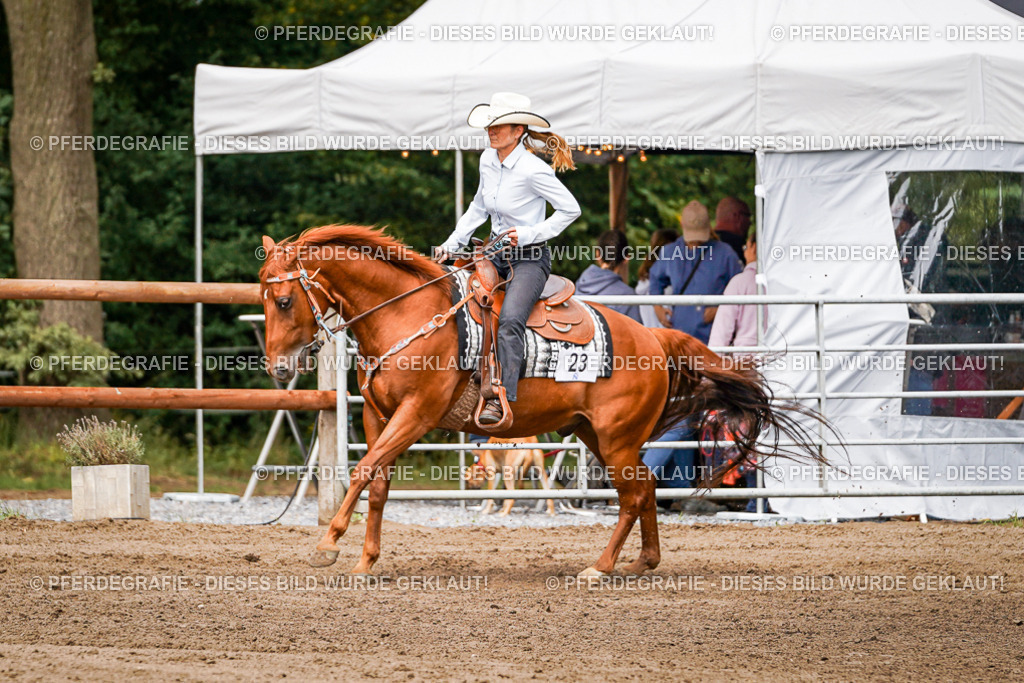 DSC06691 | Pferdegrafie