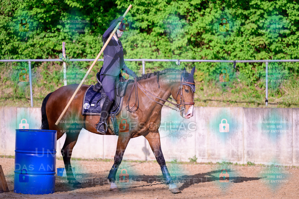 02052026-Giesenbach-03-Speedtrail-0289 | Fokus Hufschlag Fotografie - Realisiert mit Pictrs.com