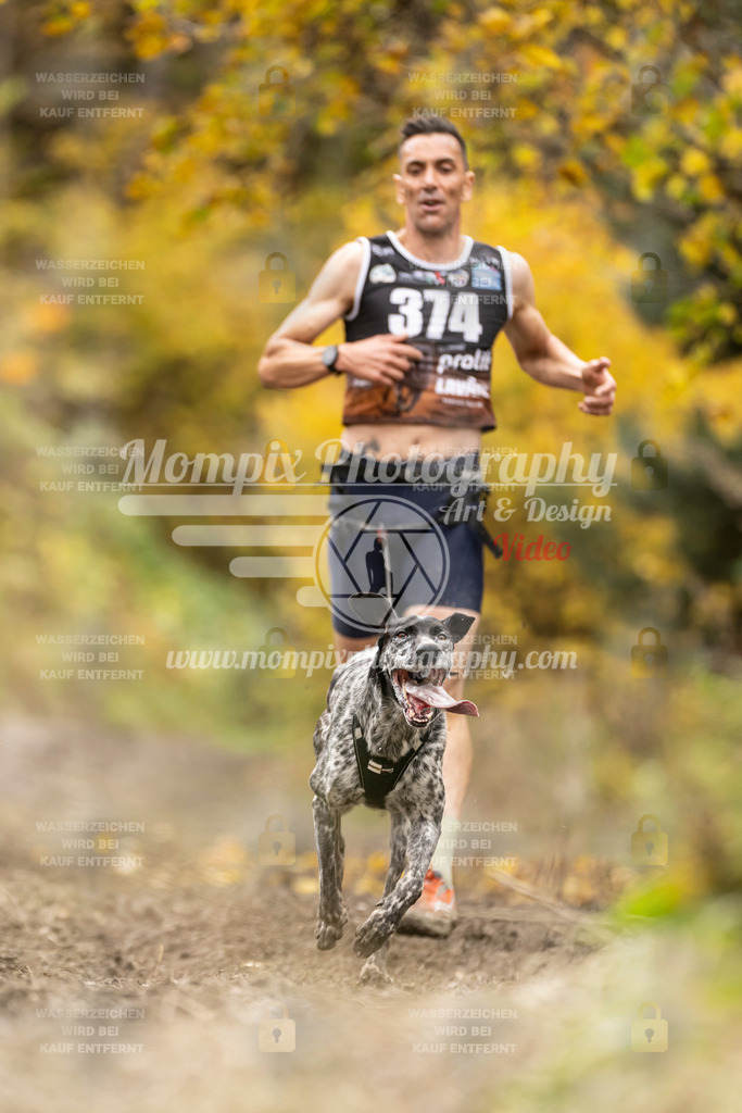 MompixPhotography_ICF_WC_2024_SA_Run_-312 | PayLife