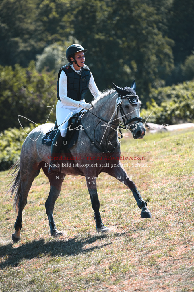 DSC_8203 | Pferde- und Turnierfotografie in Westsachsen. Pferdeportraits, Auftragszeichnungen und intuitive Kunst.