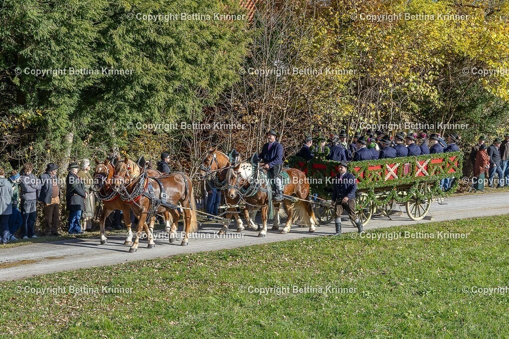 LBT25-600 | foto-bettina-krinner - Realisiert mit Pictrs.com