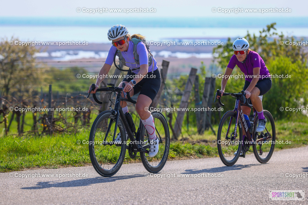 TRA_0320 | Neusiedlersee Radmarathon 2026@sportshot_your_pictrs #yourpictures#roadtowm2029 #nrm #neusiedlerseeradmarathon #neusiedlersee #neusiedlerseetourismus #burgenland #mörbisch #nrm26 #burgenlandtourismus #voglundco #poweredbyburgenlandtourismus #radsport #rad #marathon #ucigranfondo #visitburgenland #ucigranfondoworldseries