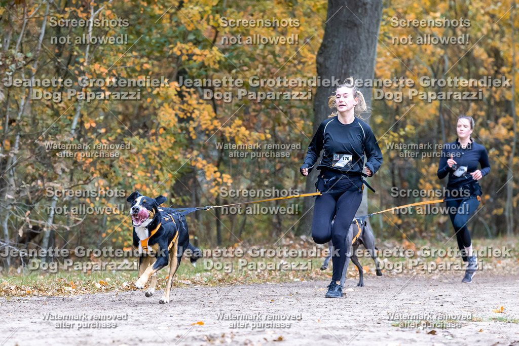 Dog Paparazzi - SD CaniX Championship 2025-430 | Dog Paparazzi Jeanette Grottendiek Fotografie & Videografie - Realisiert mit Pictrs.com