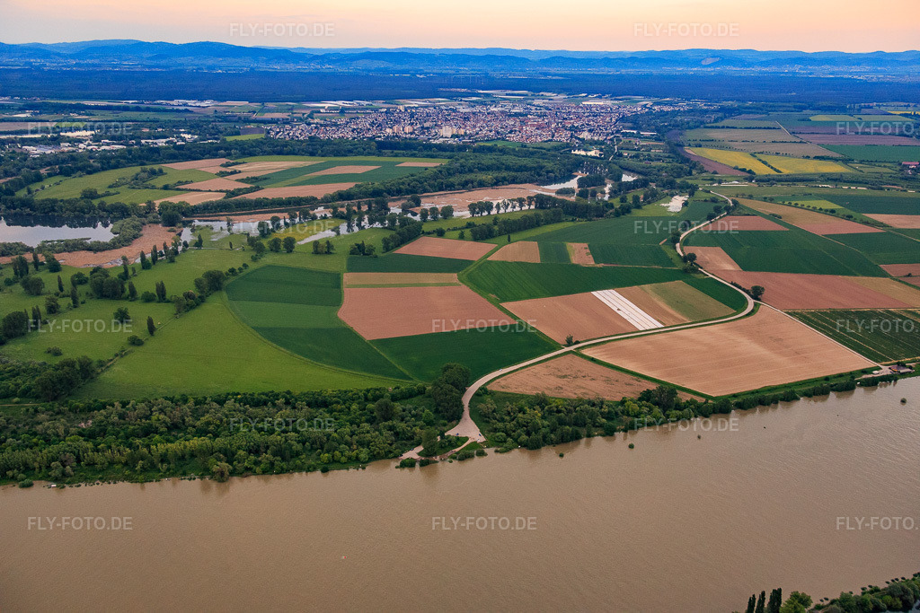 Luftbild: Lampertheimer Altrhein und NATO-Rampe Lampertheim am Rhein in Lampertheim im Bundesland Hessen in Deutschland. Foto: IMG_088586.jpg vom 17.05.2016 durch Werner Riehm/FLY-FOTO.de