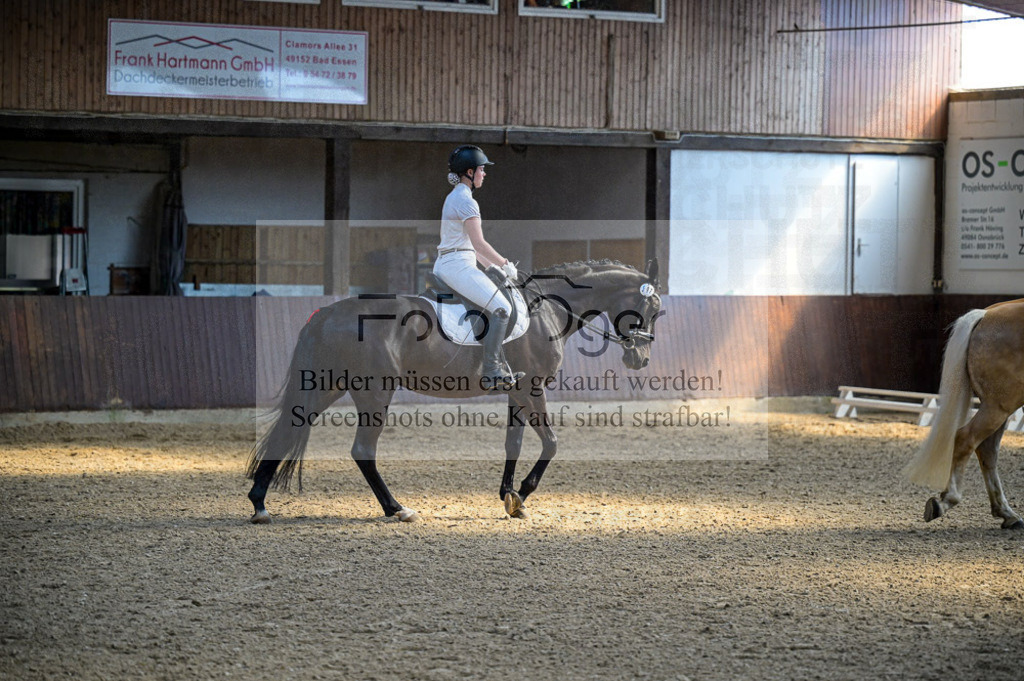 Reitturnier Voxtrup | Entdecke hochwertige Reitturnierfotos von Foto Oger. Professionell, emotional und authentisch – jetzt Lieblingsmomente im Shop bestellen.Deutschlandweite Turnierfotografie. - Realisiert mit Pictrs.com