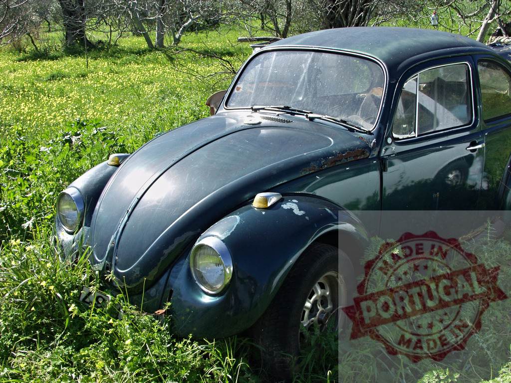 Old rusty Volkswagen Beetle abandoned in a field is becoming overgrown with weeds | Classic Volkswagen Beetle car parked in a field and rusting, showing signs of neglect and abandonment - Realisiert mit Pictrs.com
