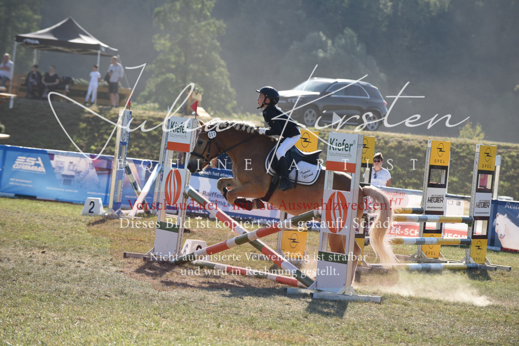 DSC_5804 | Pferde- und Turnierfotografie in Westsachsen. Pferdeportraits, Auftragszeichnungen und intuitive Kunst.