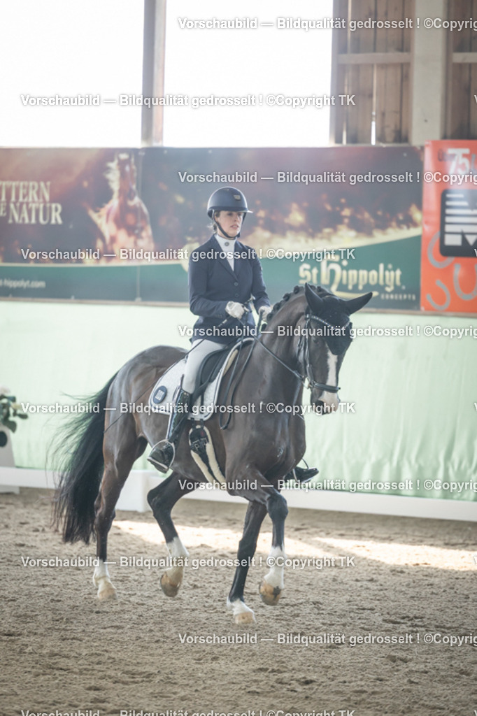 _D5A0652 | Emotionale Pferde- & People-Fotografie rund um Heidelberg, Leimen & Umgebung. Natürliche Fotos von Pferd, Mensch & Familie. Jetzt Termin sichern!