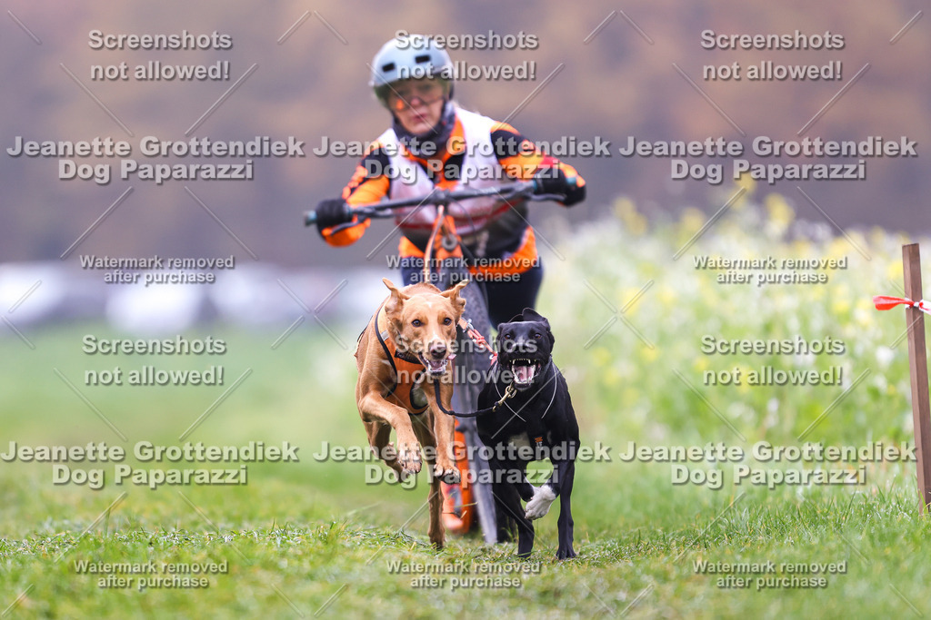 Dog Paparazzi - Visbeck 25 -65 | Dog Paparazzi Jeanette Grottendiek Fotografie & Videografie - Realisiert mit Pictrs.com