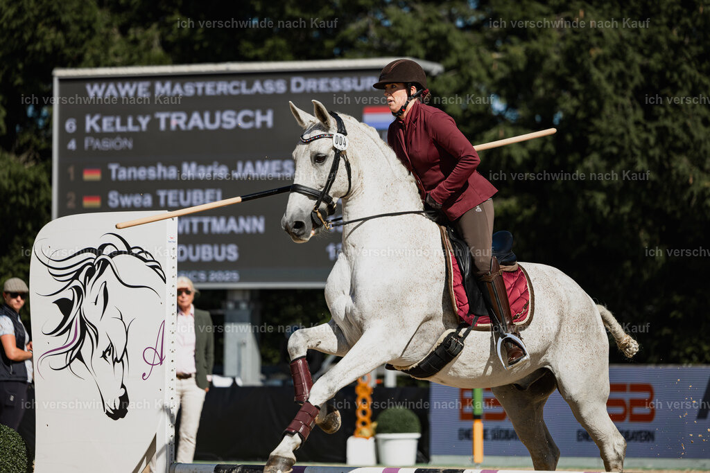 Kelly4_FHC2025-27466 | working equitationturnier fotograf videograf stoibphotography marixx film working equitation deutschland reitsport turnierfotografie eventfotografie equestrian events