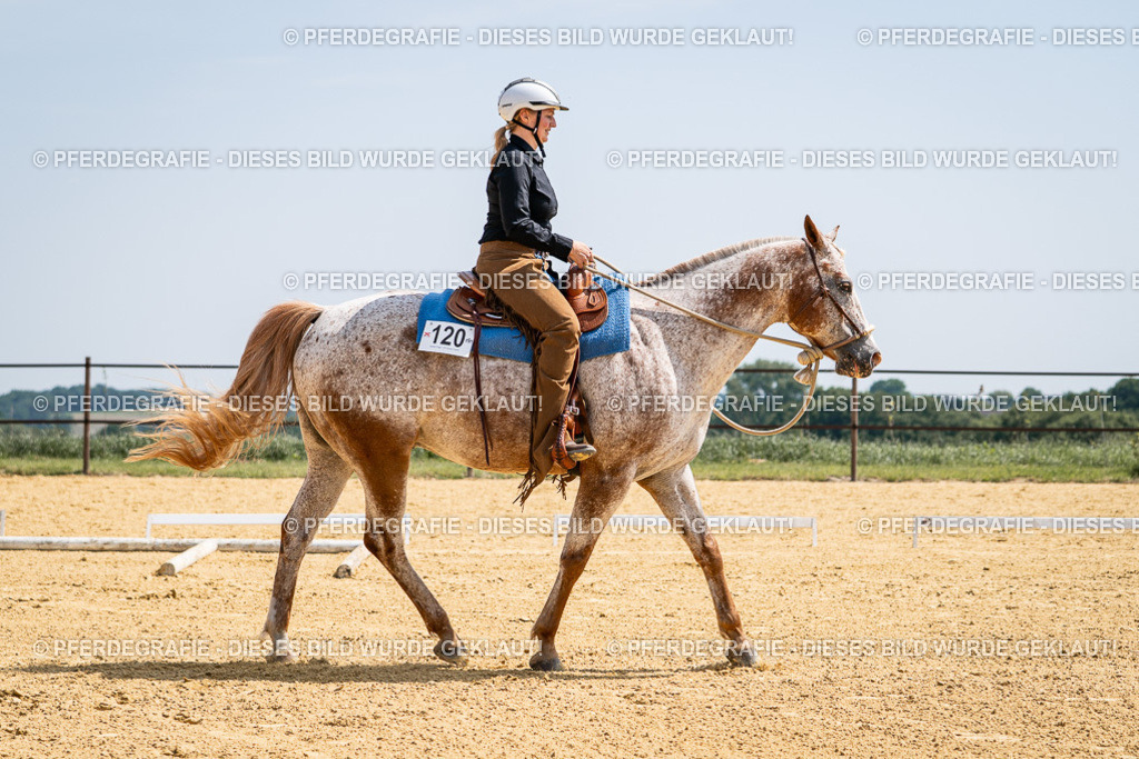 DSC00578 | Pferdegrafie