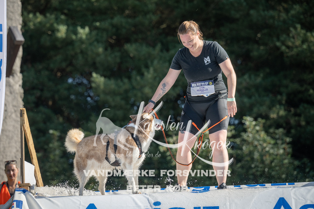 0958_ZZ97464 | kk-dogfotos