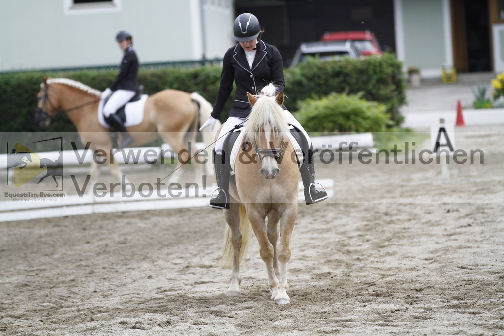 _MG_0980 | equestrian-live-com