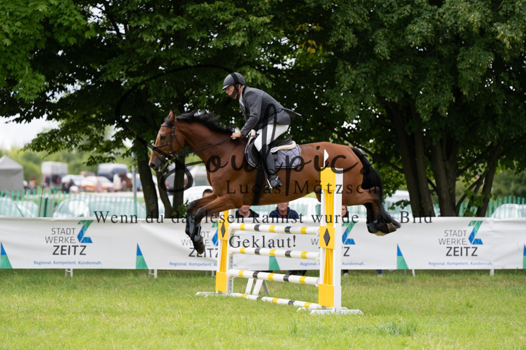 A7V03994 | Pferdefotograf