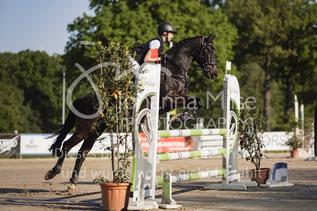 250501_MünsterHandorf_PonyTrophy-241 | Deine schönsten Turniermomente als professionelle Fotos! Entdecke hochwertige Pferdesport-Fotografie im Online-Shop. Jetzt Fotos finden & bestellen!
