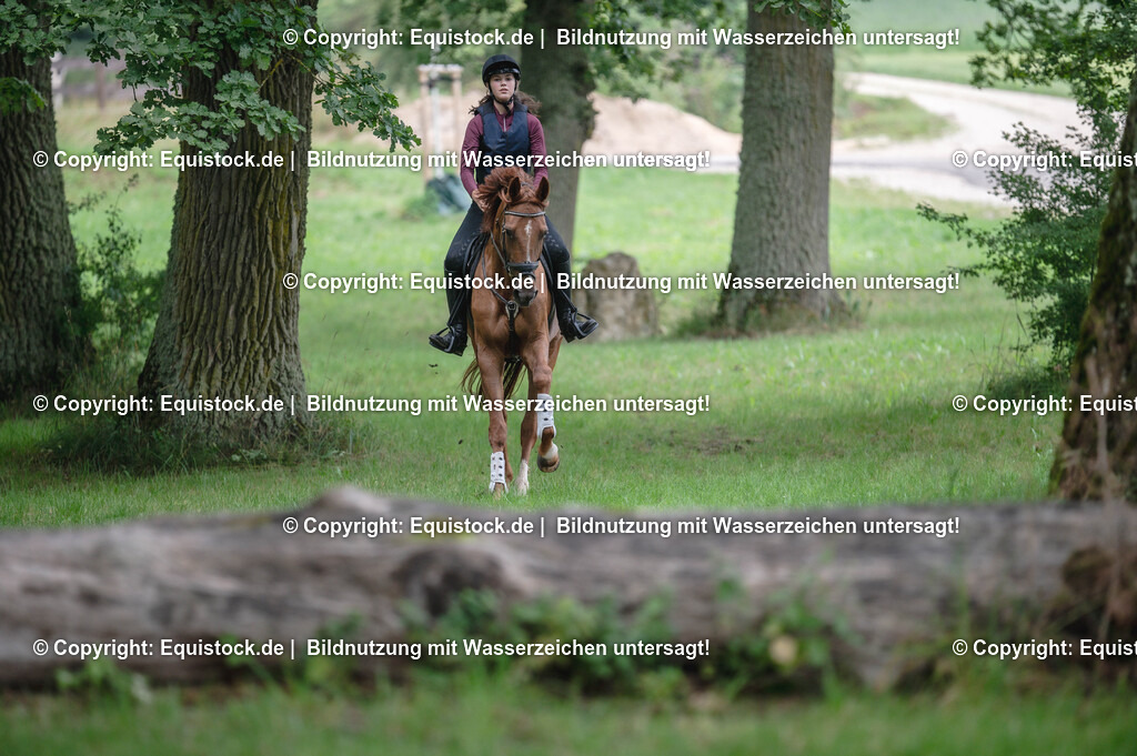 20250726_Vielseitigkeitslehrgang-Marbach_0214 | Foto: Thomas Hartig