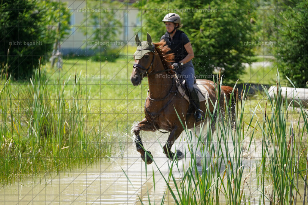 20240622-FAH07111 | Turnierfotografen Bayern, Reitsportbilder aus dem Geländekurs mit Felix Etzel auf dem Gut Waitzacker 2024