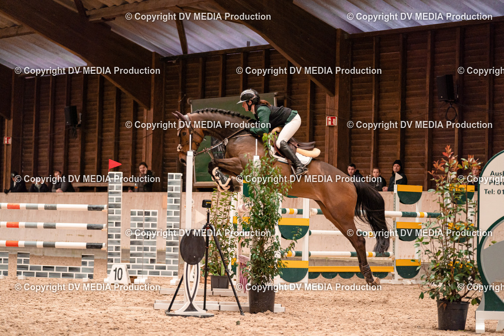 Springen Tag 3-346 | dv-media-shop - Realisiert mit Pictrs.com