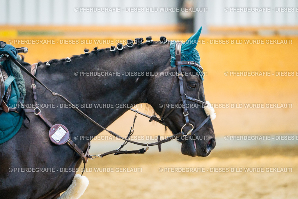 DSC01010 | Pferdegrafie