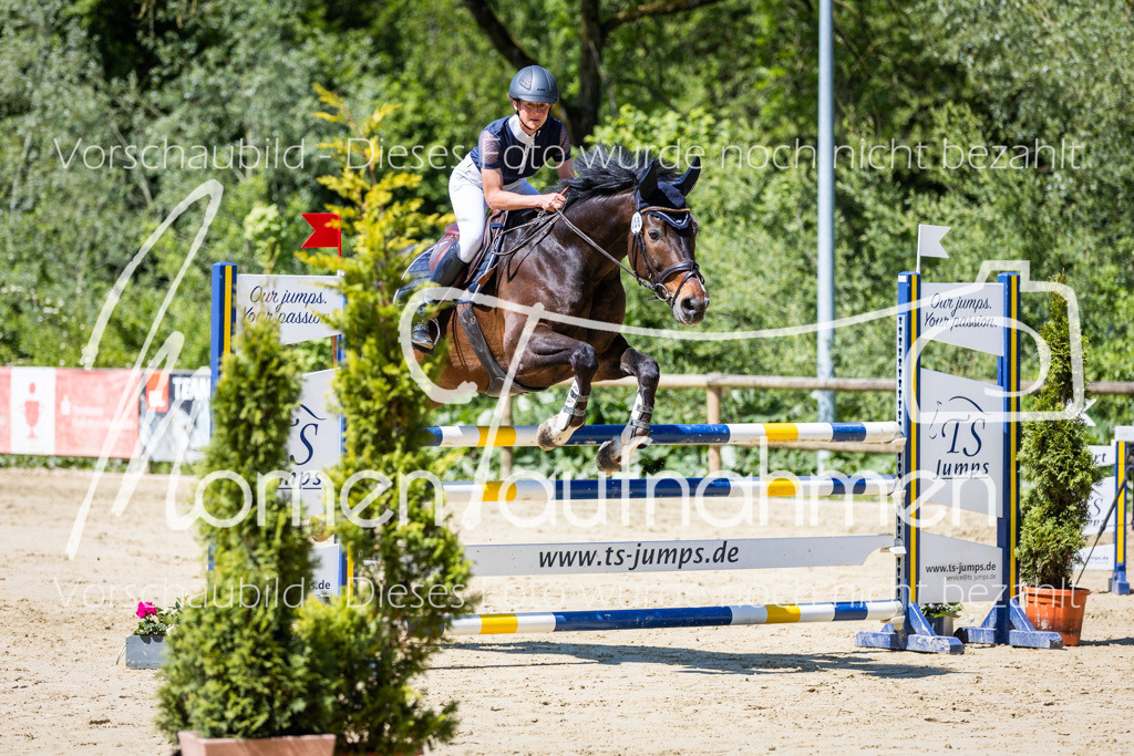 Donop24-L-Spr-021 | MomenTaufnahmen Pferdesportfotos