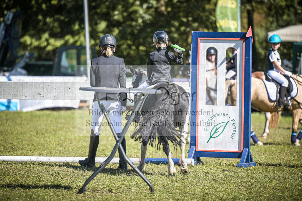 DOS_0376 | Entdecke hochwertige Reitturnierfotos von Foto Oger. Professionell, emotional und authentisch – jetzt Lieblingsmomente im Shop bestellen.Deutschlandweite Turnierfotografie. - Realisiert mit Pictrs.com