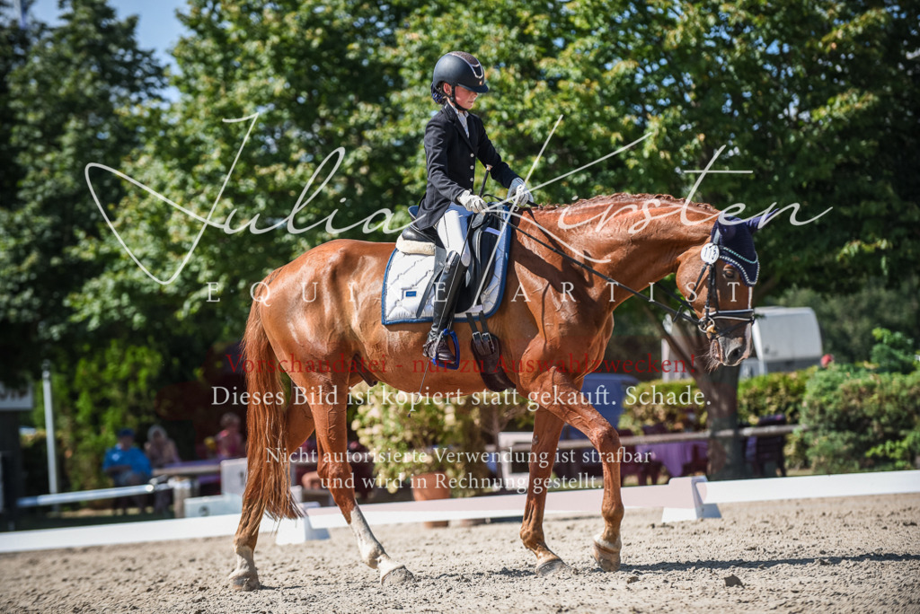 DSC_9539 | Pferde- und Turnierfotografie in Westsachsen. Pferdeportraits, Auftragszeichnungen und intuitive Kunst.