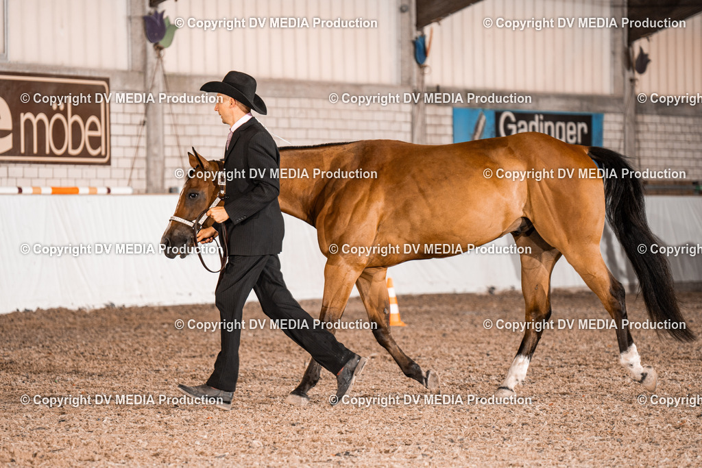 ZH200112 | dv-media-shop - Realisiert mit Pictrs.com