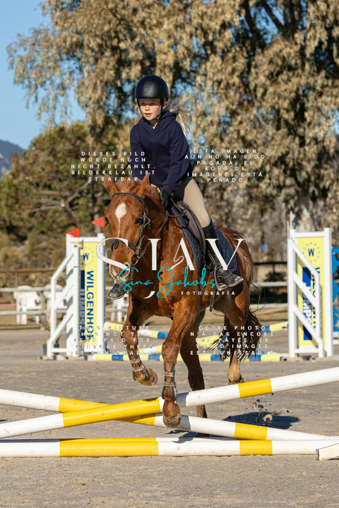 IMG_7758 | s-jay-photography - Realisiert mit Pictrs.com