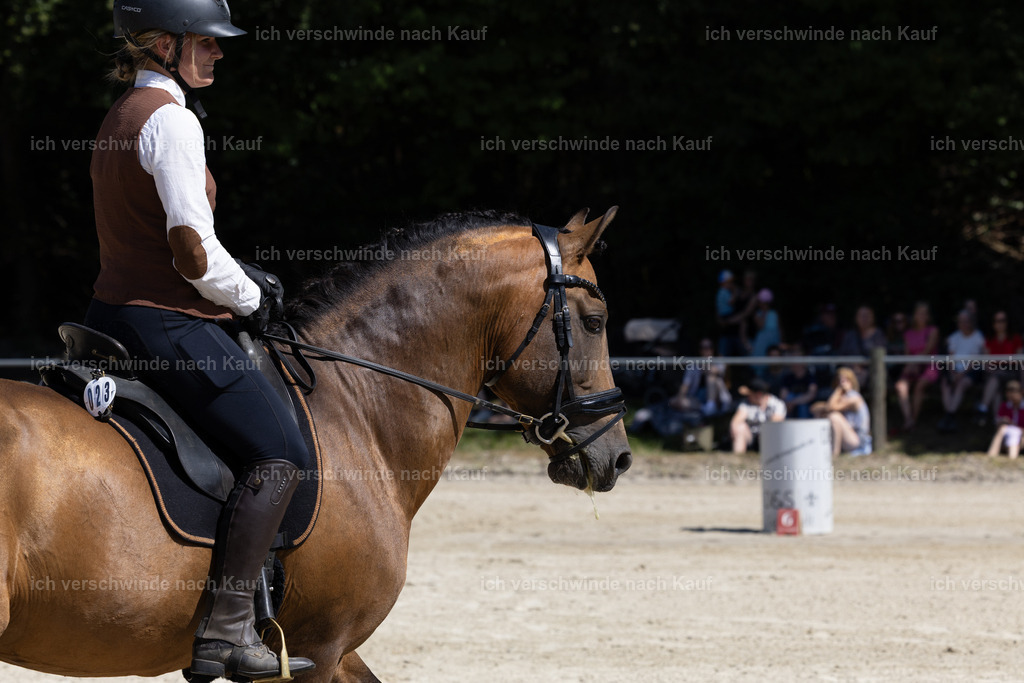 WE_Trail_23_KerstinBernhardt | working equitationturnier fotograf videograf stoibphotography marixx film working equitation deutschland reitsport turnierfotografie eventfotografie equestrian events