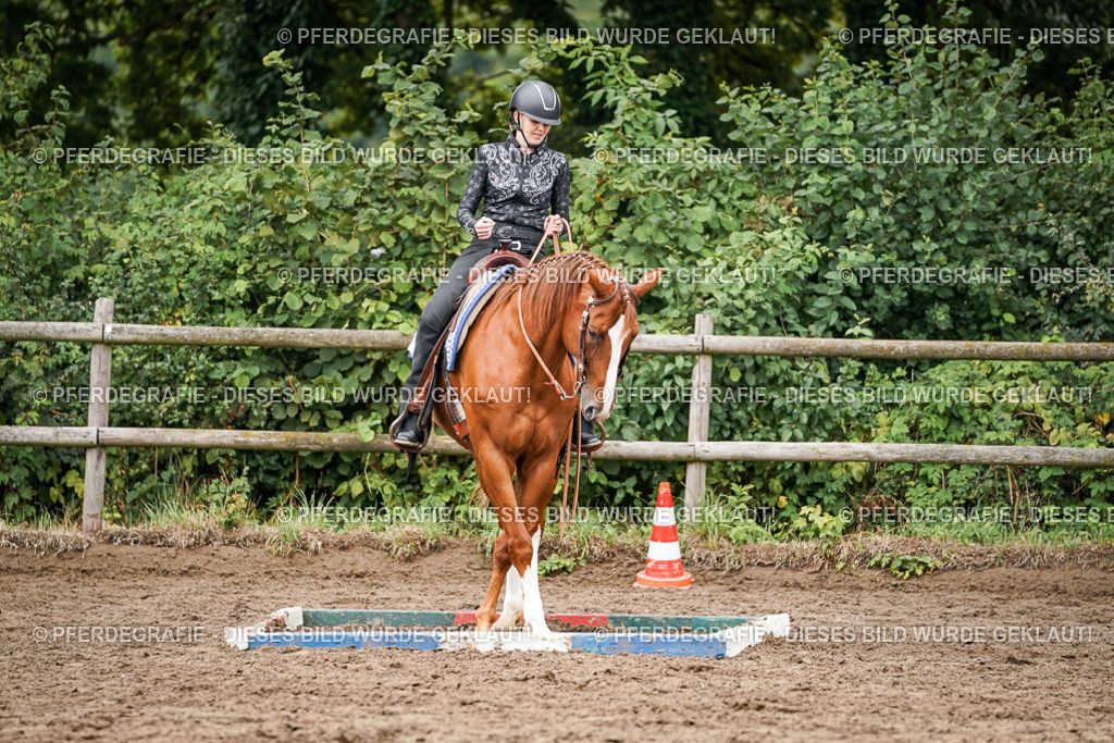 DSC04282 | Pferdegrafie