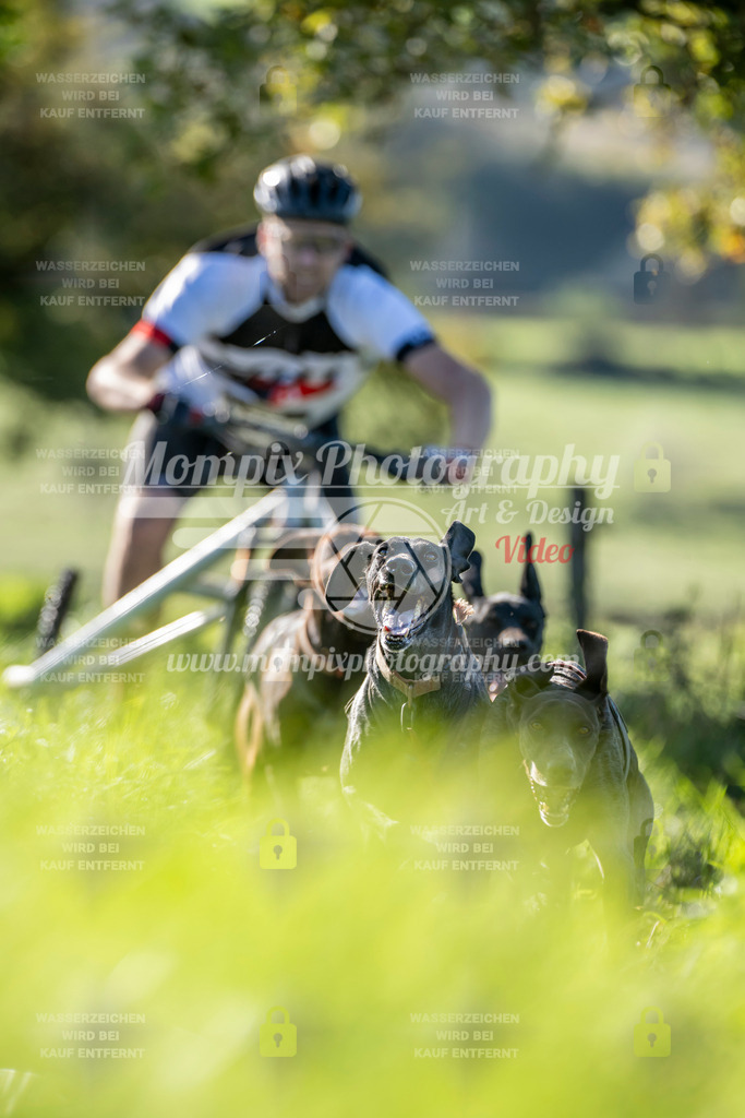 MompixPhotography_20TSB_E3_Kart-5 | PayLife