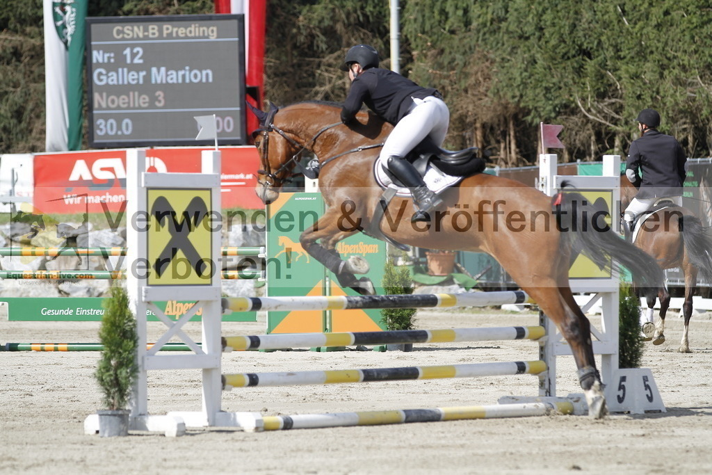 _MG_7884 | equestrian-live-com