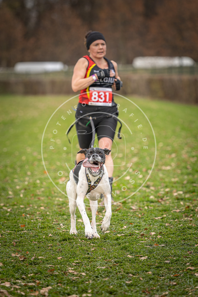 CaniXpix_DV3A6464 | Hundefotografie, Tierfotograf, Pfotenfotografie, Fotoshooting Hund, Hunde Portrait, Hundesport, Hundeportraits, Heideshooting, Hunde, Sportfotograf, Hundefotograf, Turnierhundsport, THS,  - Realisiert mit Pictrs.com
