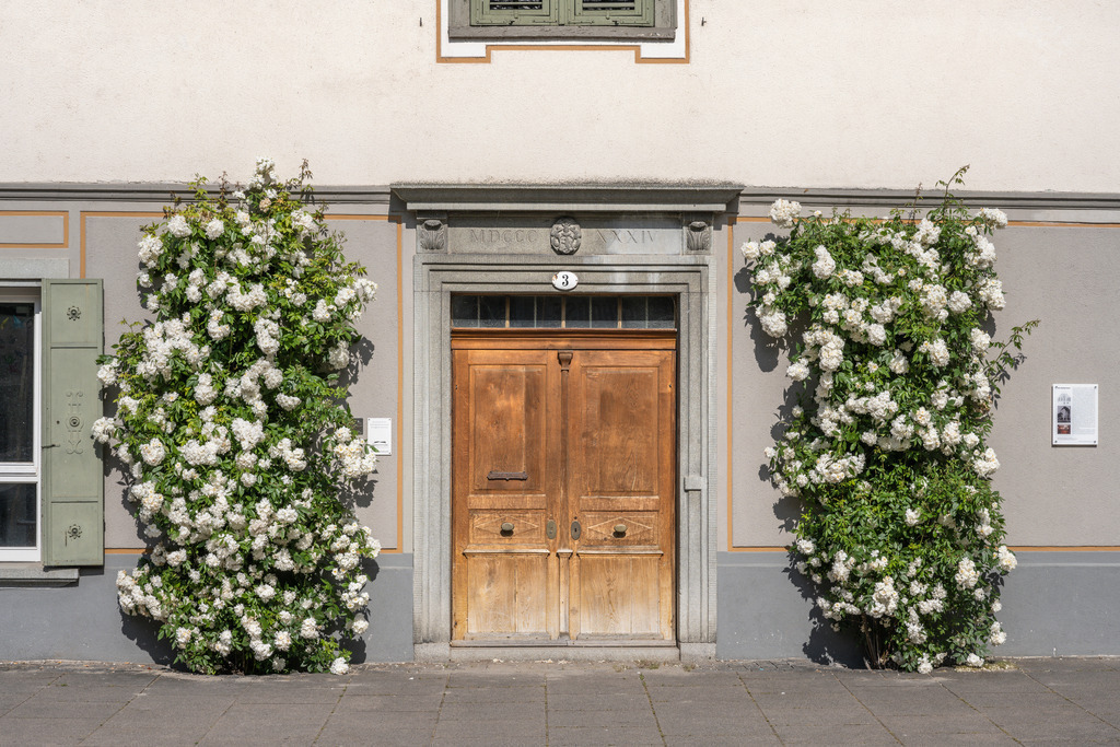 Radolfzellbilder_0463 | Kletterrosen, Rosenstöcke an der Eingangstür vom Stadtmuseum in der Altstadt von Radolfzell - Realisiert mit Pictrs.com