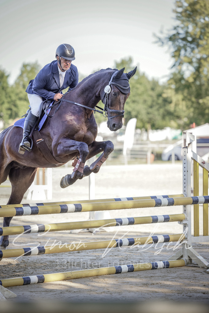 20250906-_3LI3086 | Tierfotografie Pferde, Hunde, Katzen, Haustiere.
Turnierfotografie Reitturniere, Reiten, Springreiten, Dressur in Hanau, dem Main-Kinzig-Kreis und dem Rhein-Main- Gebiet um Frankfurt
