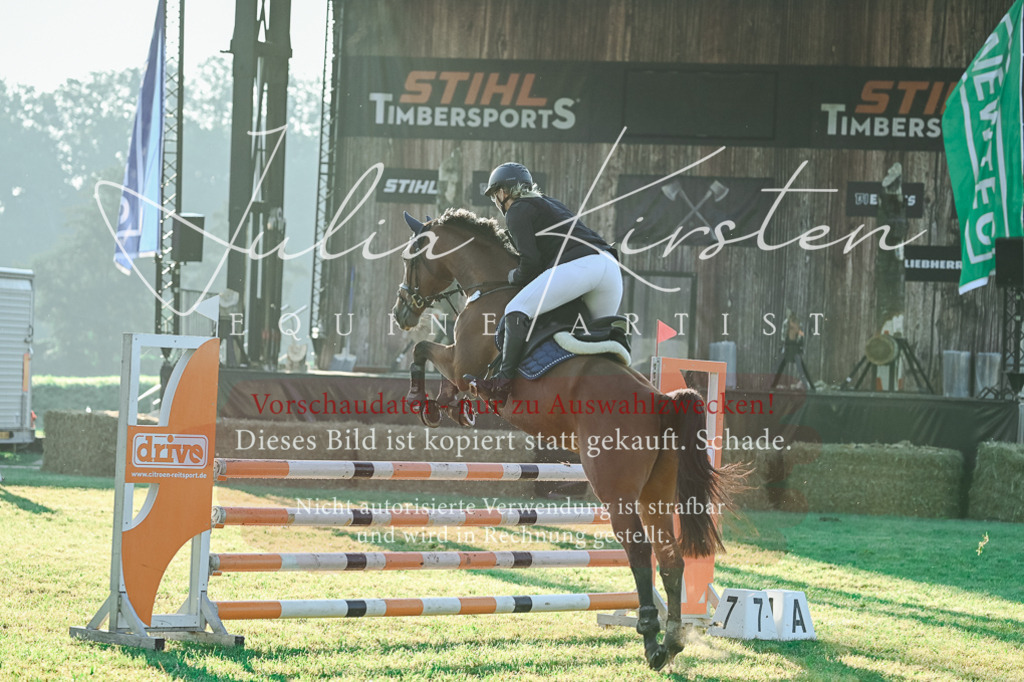 DSC_3908 | Pferde- und Turnierfotografie in Westsachsen. Pferdeportraits, Auftragszeichnungen und intuitive Kunst.