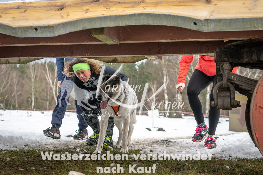 0933_ZZ90729 | kk-dogfotos