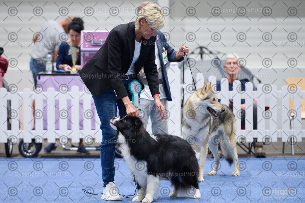 202406_ÖKV-IHA-Tulln24_DSC_2837 | proPHOTO - Realisiert mit Pictrs.com