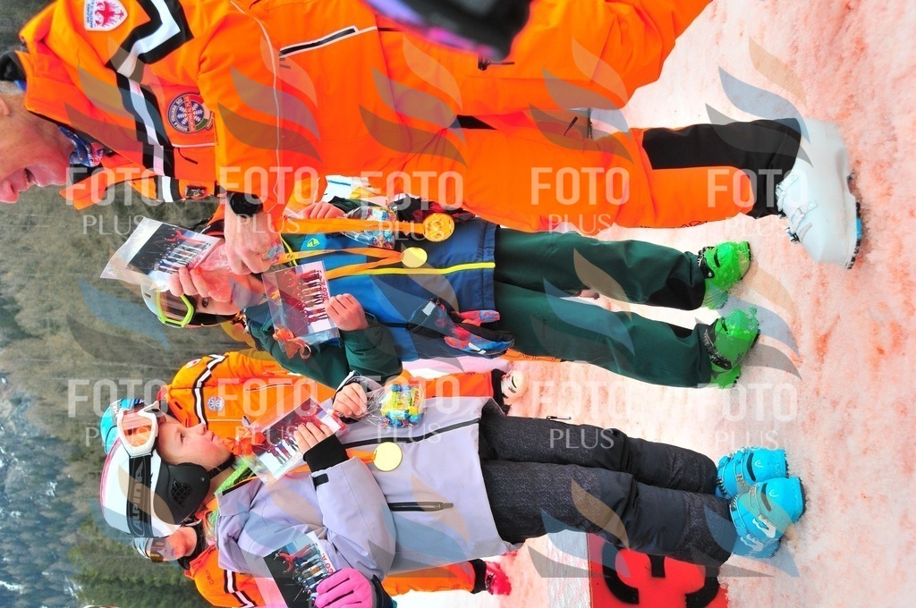 C1608 | holidayphoto