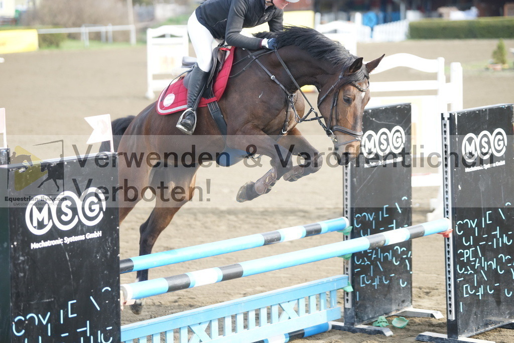 DSC00448 | equestrian-live-com