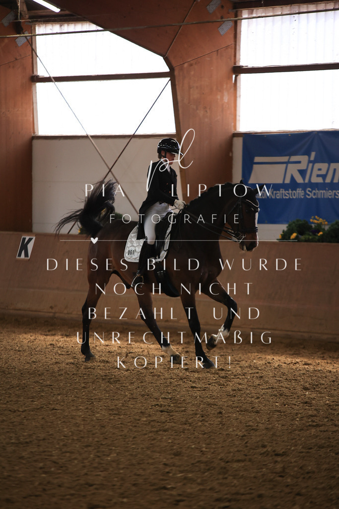 IMGT4425 | pl-fotografie