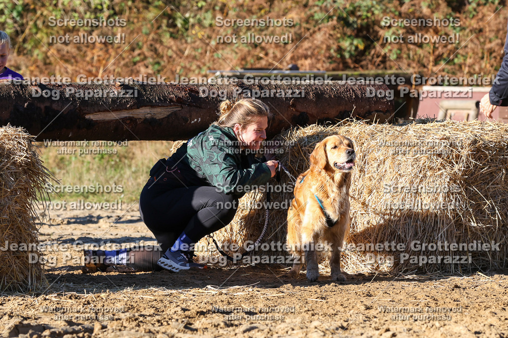 Dog Paparazzi - Strongdog 10-25-1542 | Dog Paparazzi Jeanette Grottendiek Fotografie & Videografie - Realisiert mit Pictrs.com