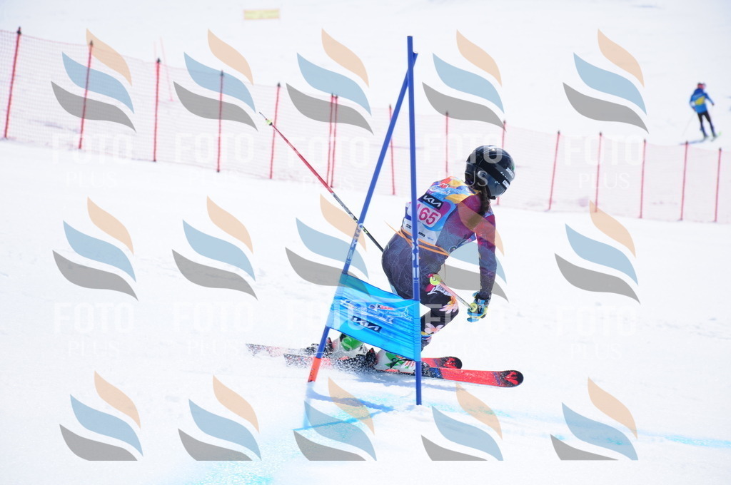 DSC_5436 | holidayphoto