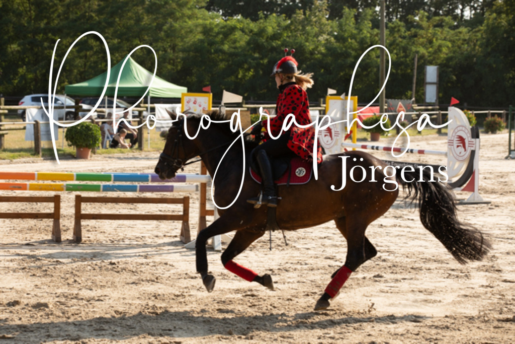 IMG_3508 | photographesa-joergens - Realisiert mit Pictrs.com