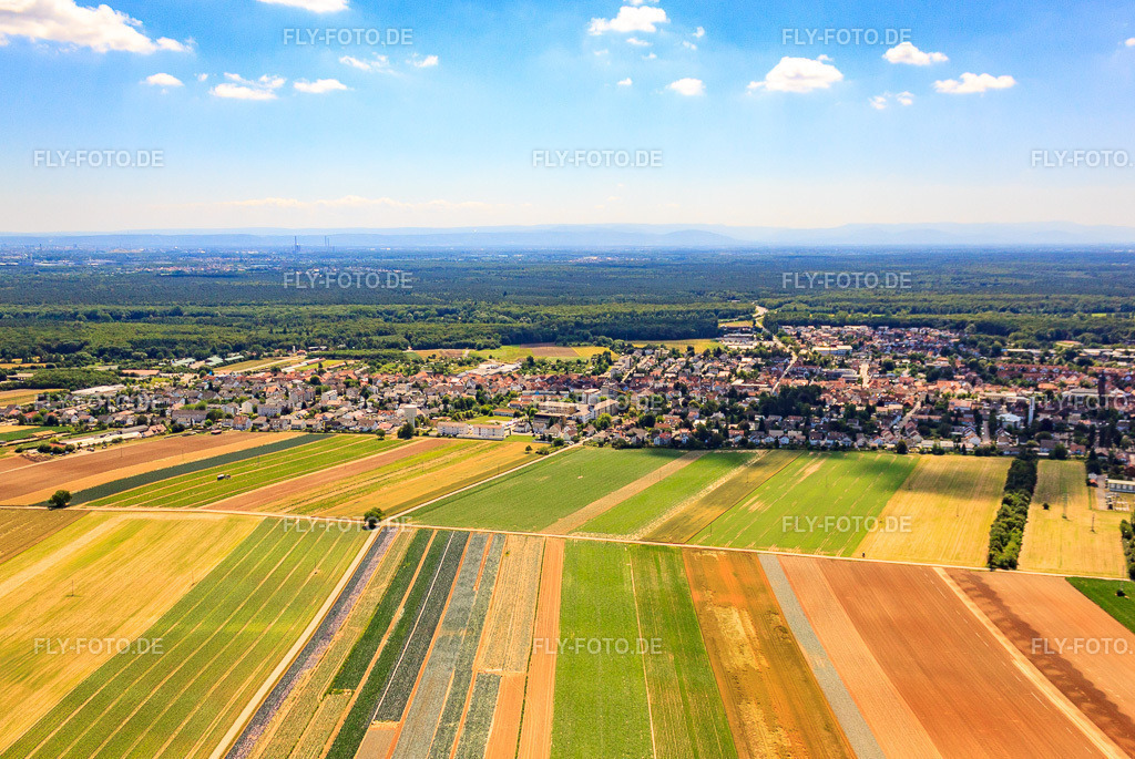 Stadtansicht von Norden | Luftbild: Stadtansicht von Norden in Kandel im Bundesland Rheinland-Pfalz in Deutschland. Foto: IMG_30221.jpg vom 05.07.2010 durch Werner Riehm/FLY-FOTO.de - Realisiert mit Pictrs.com