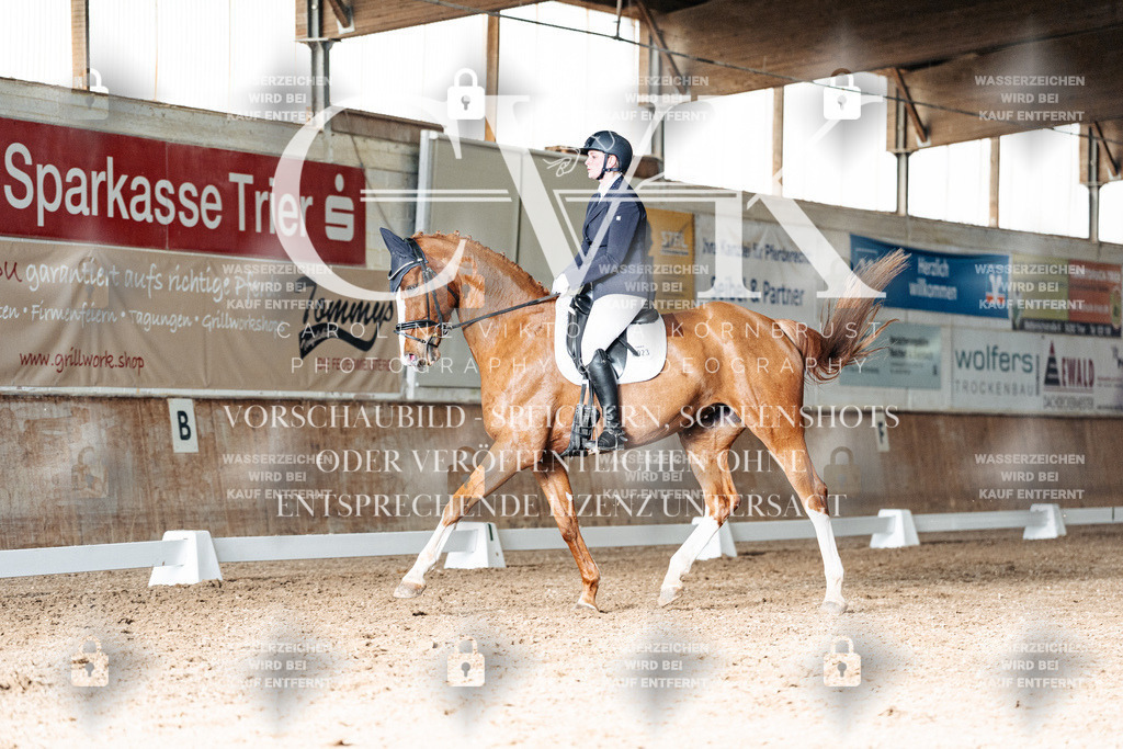 CK902799 | Turnierfotografie Pferdefotografie Trier Rheinland-Pfalz Pferdesport Reitsport Tierfotografie Sportfotografie Pferdevideo Pferdevideografie Equestrianvideography equestrianphotography  - Realisiert mit Pictrs.com