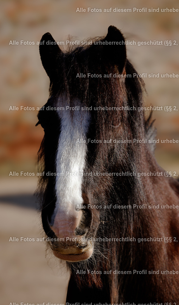 1P5A7036 | krollfotografie - Realisiert mit Pictrs.com